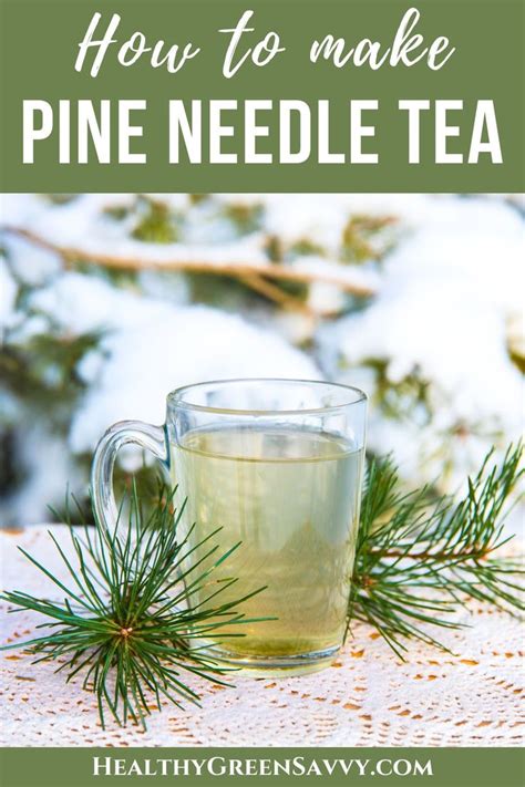 pinwytea|Pine Needle Tea: How To Make It & Benefits .